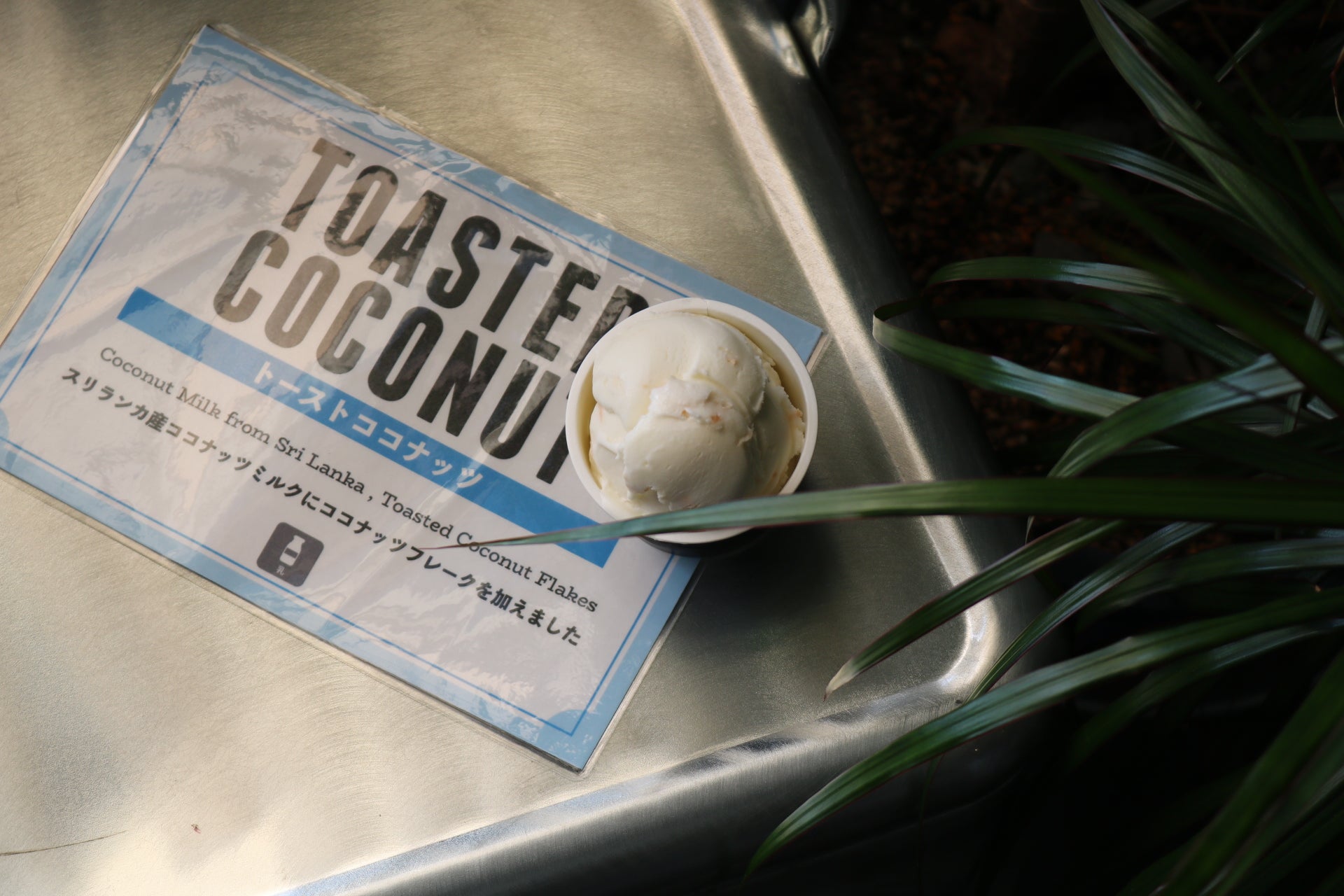 【限定】トーストココナッツ