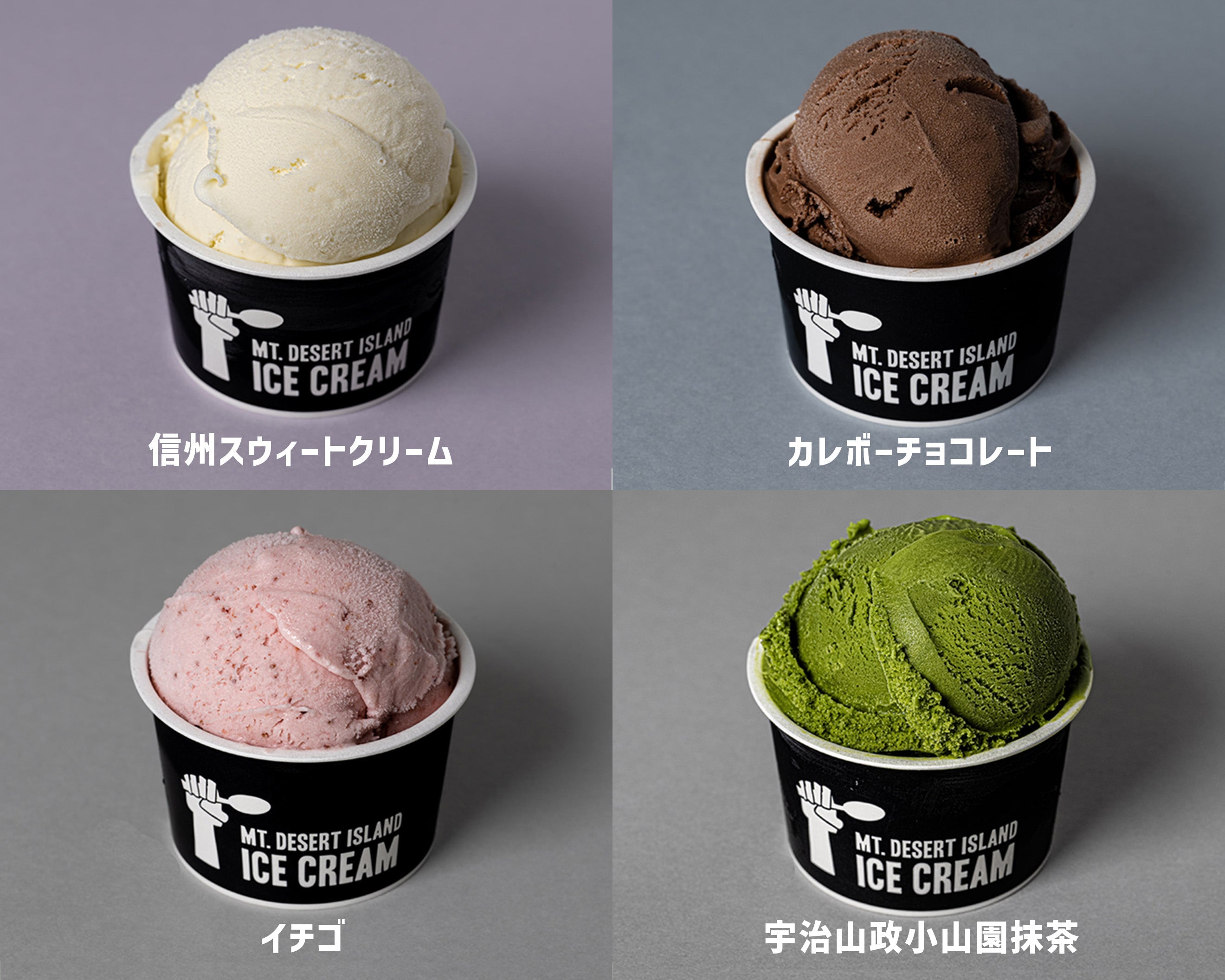 BASIC SET (10個入)