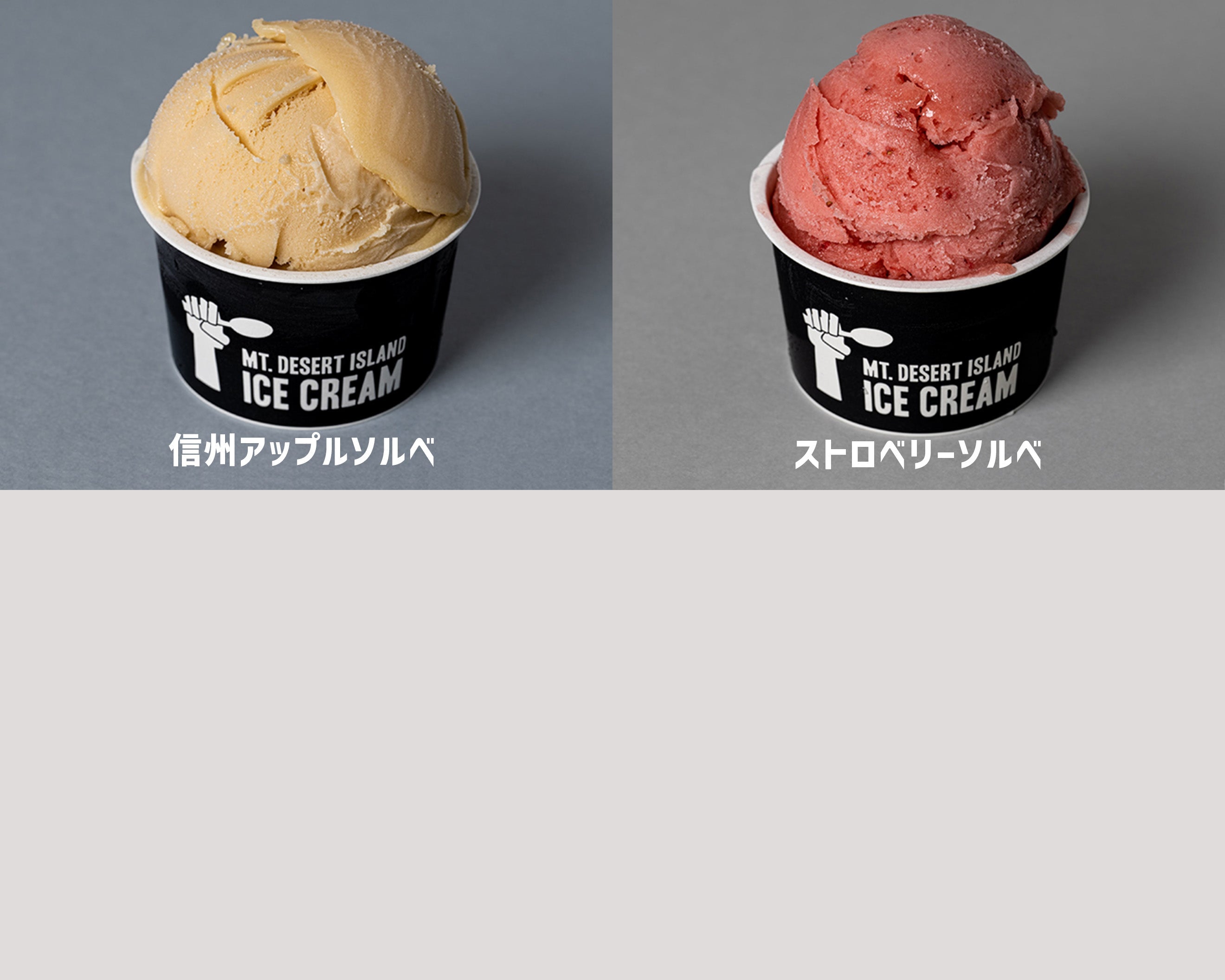 BASIC SET (10個入)