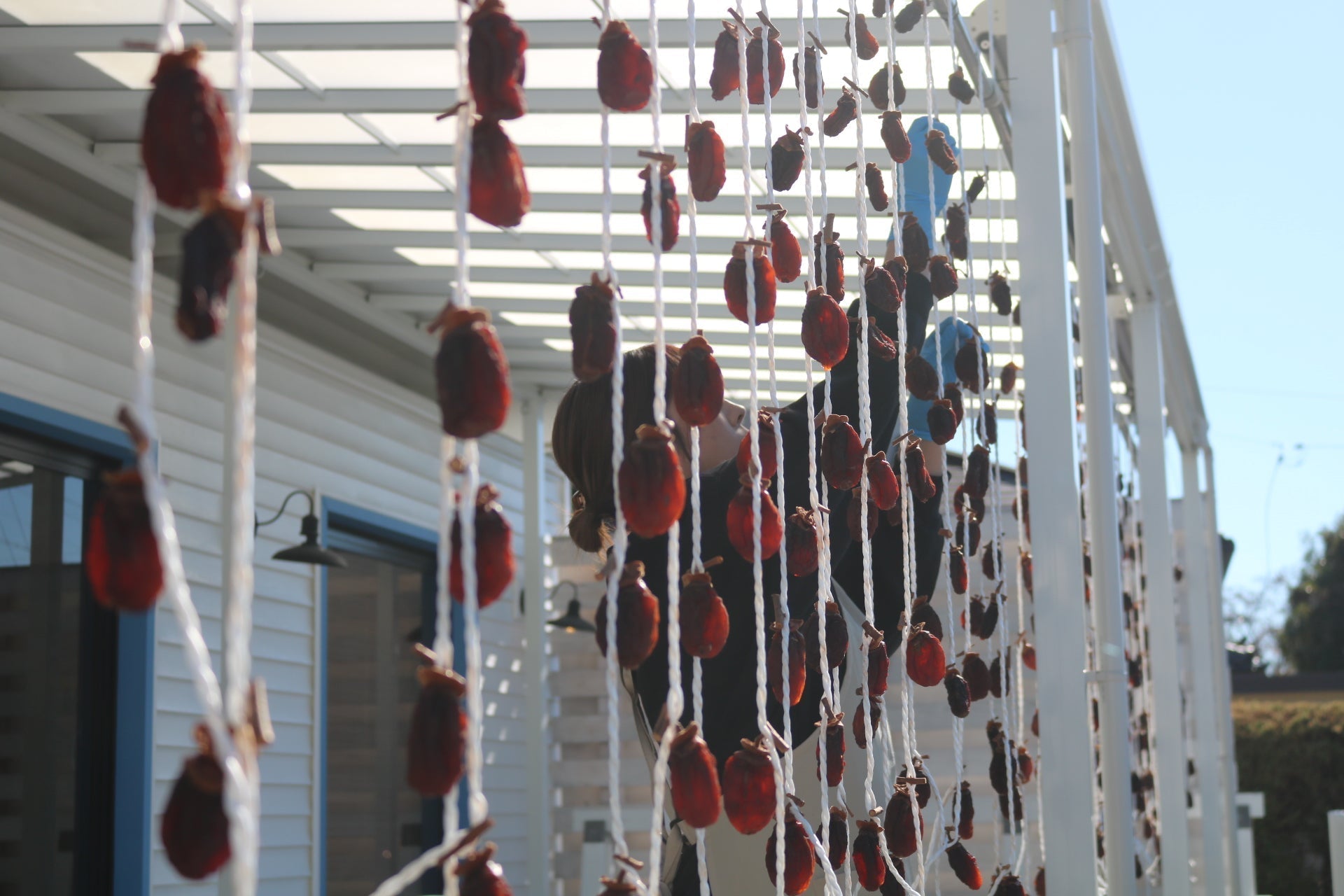 干し柿のやさしい甘さを、まるごとアイスに閉じ込めました