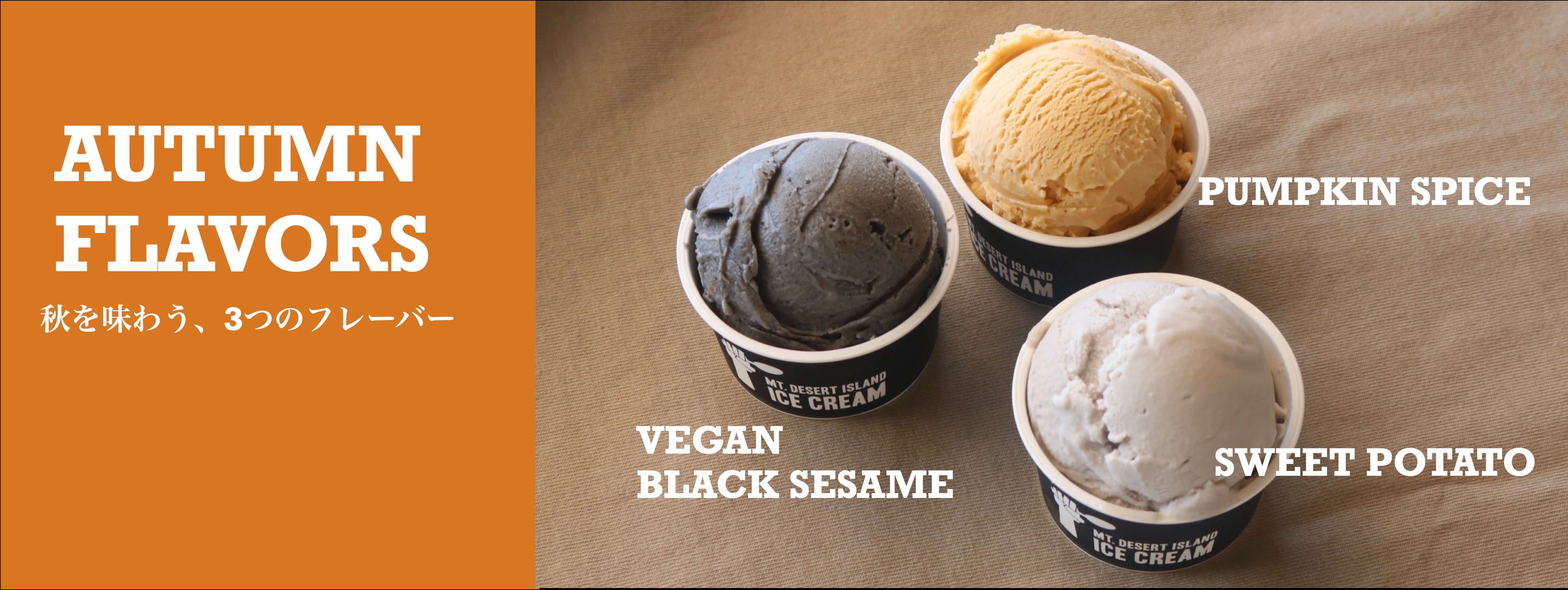 アイスクリーム MT. DESERT ISLAND ICE CREAM